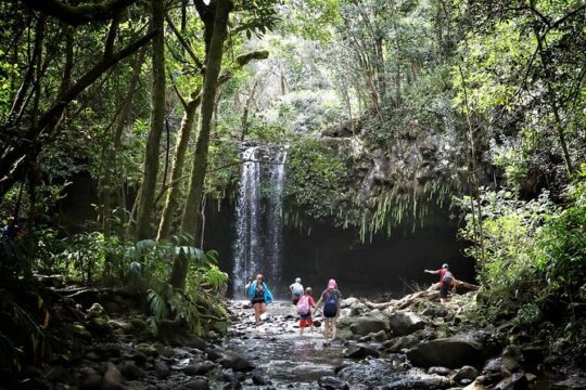 Waterfall & Rainforest Hiking Adventure with Hotel Pickup