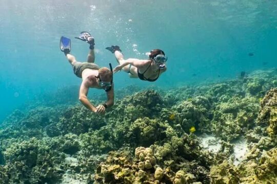 Kona's Reefs Snorkel Adventure